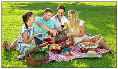 野餐的拼音_野餐的读音_野餐的英文 - 词语野餐
