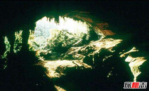 印尼爪哇谷洞真相揭秘，被称为魔鬼洞的里面有什么？